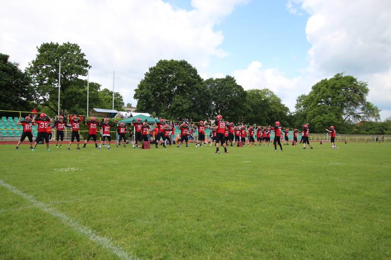 Spandau Bulldogs (B) vs Berlin Adler (B)