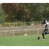 27.09.2014: Halbfinale - Spandau Bulldogs (B) vs Berlin Rebels (B)