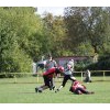 27.09.2014: Halbfinale - Spandau Bulldogs (B) vs Berlin Rebels (B)