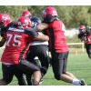 27.09.2014: Halbfinale - Spandau Bulldogs (B) vs Berlin Rebels (B)