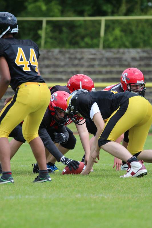 Spandau Bulldogs (B) vs Berlin Adler (B)