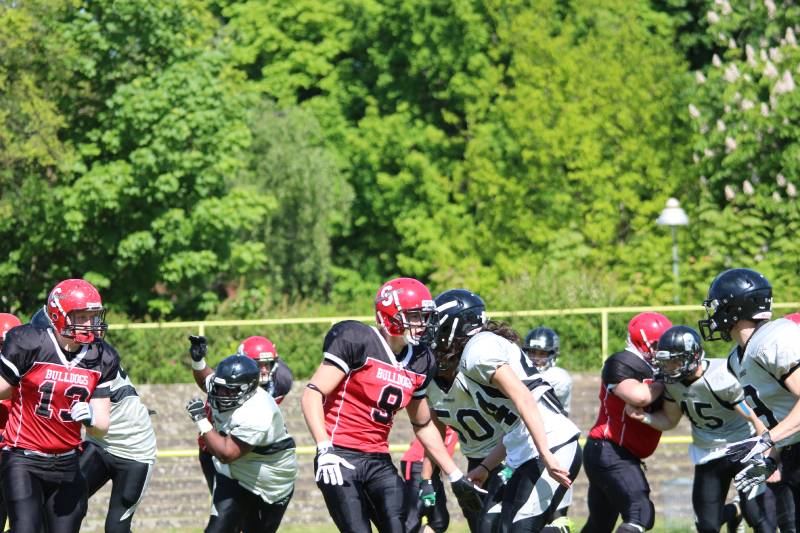 03.05.2014: Spandau Bulldogs (A) vs Berlin Rebels Juniors