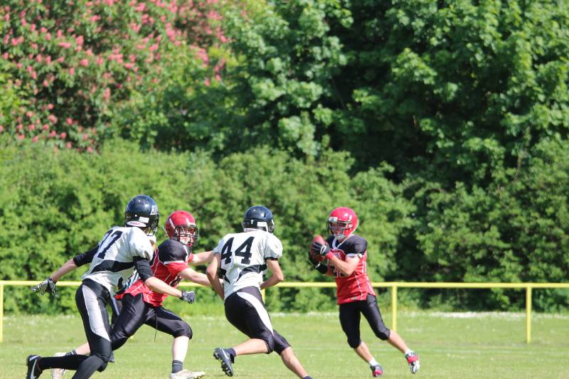 03.05.2014: Spandau Bulldogs (A) vs Berlin Rebels Juniors