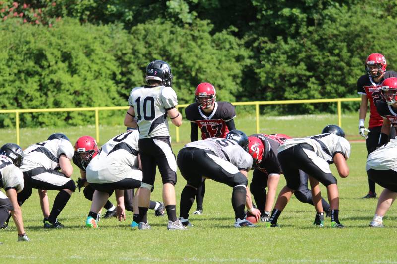 03.05.2014: Spandau Bulldogs (A) vs Berlin Rebels Juniors