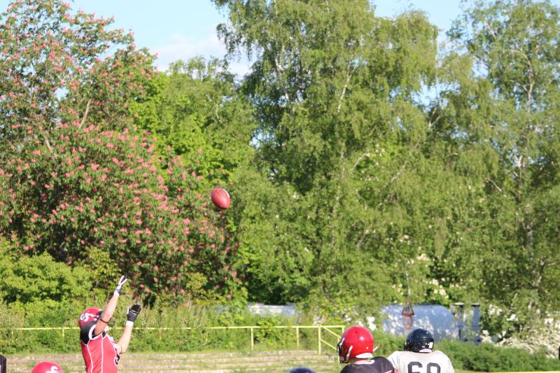 03.05.2014: Spandau Bulldogs (A) vs Berlin Rebels Juniors